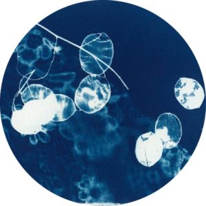 Cianotipia - Laboratorio per adulti e ragazzi con Luminanda - Lake Como Waves - Villa Erba- Cernobbio - 07.09.19